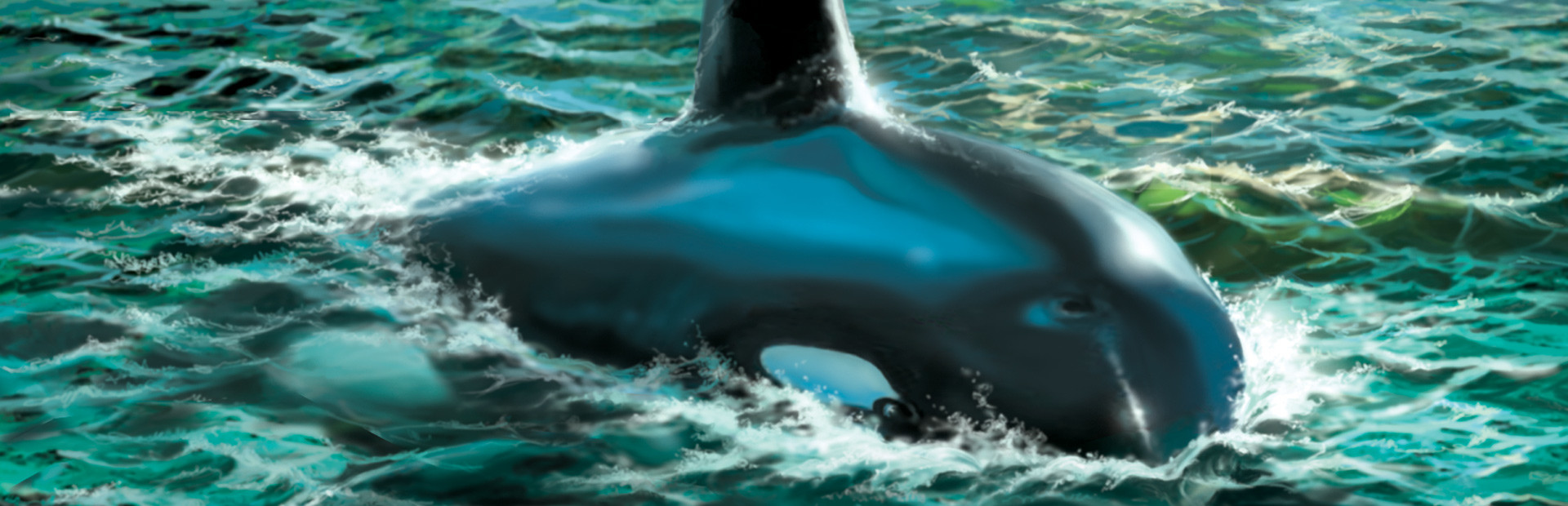 Nancy Drew®: Danger on Deception Island