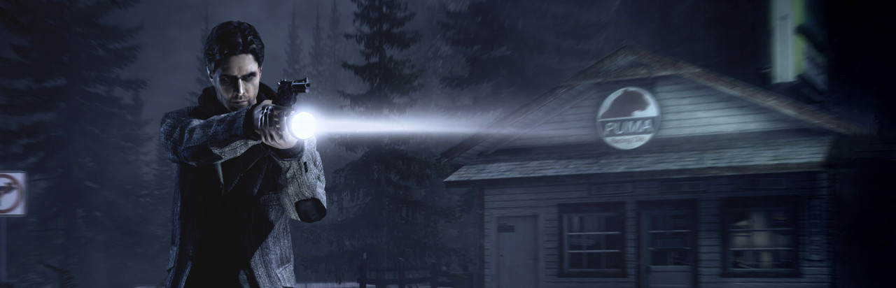Alan Wake: The Writer