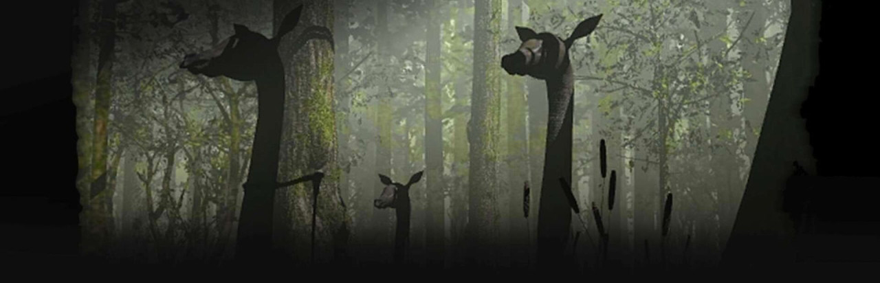 Amerzone: The Explorer's Legacy