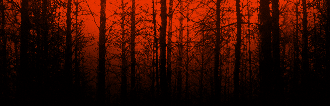 Blair Witch Project: Episode 1 - Rustin Parr