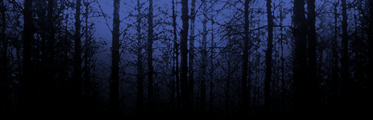 Blair Witch Project: Episode 2 - The Legend of Coffin Rock