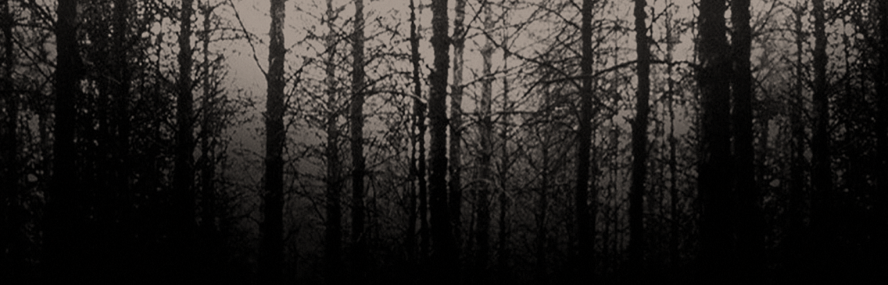 Blair Witch Project: Episode 3 - Elly Kedward Tale