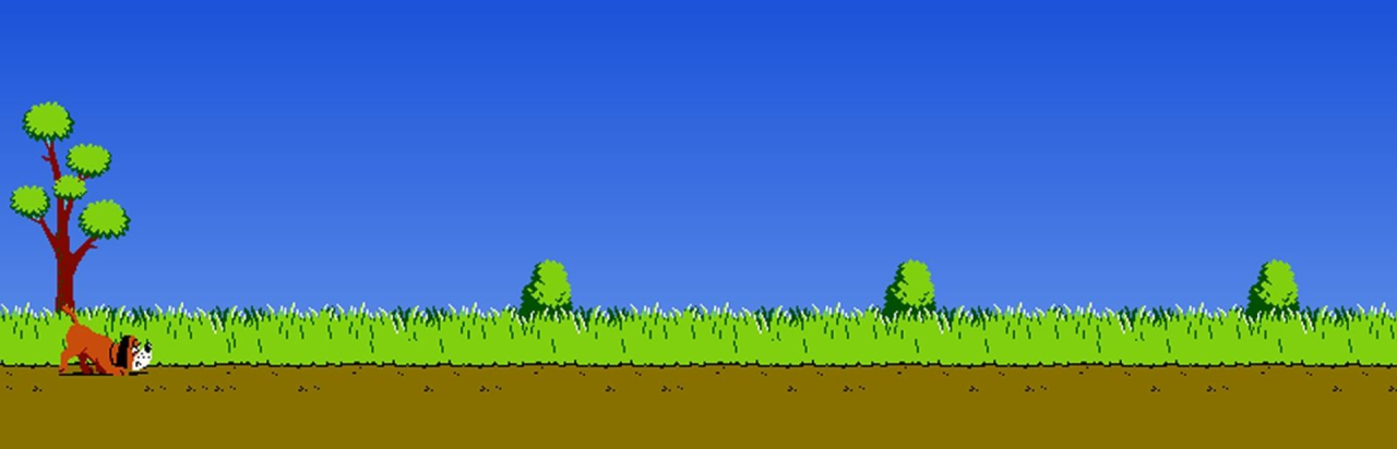 Duck Hunt