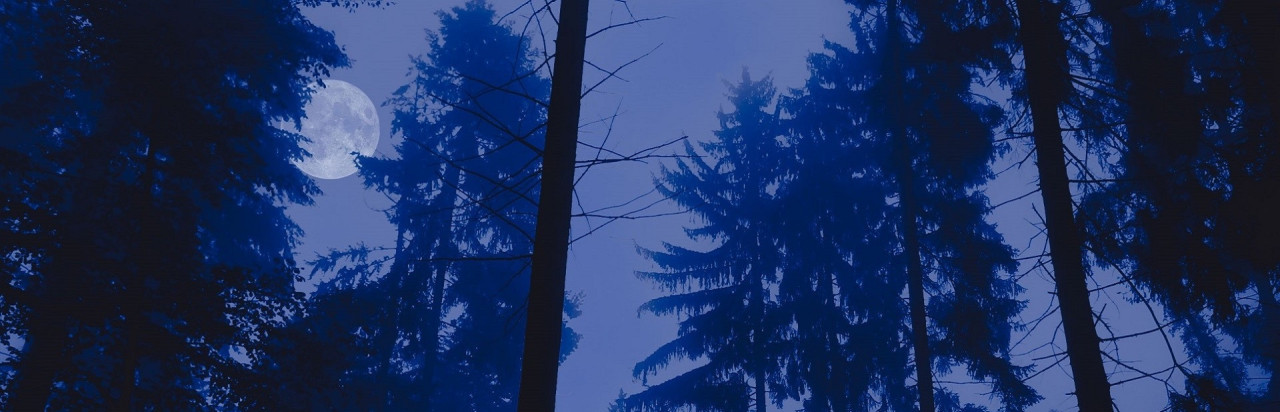 Gabriel Knight 2: The Beast Within