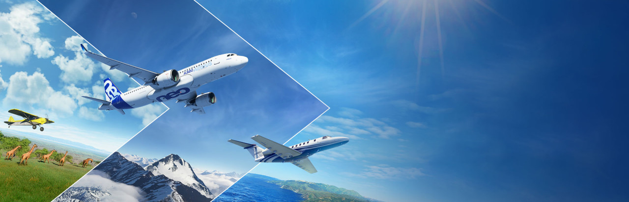 Microsoft Flight Simulator