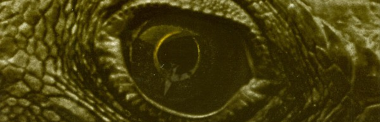 Quake: Mission Pack 2 - Dissolution of Eternity